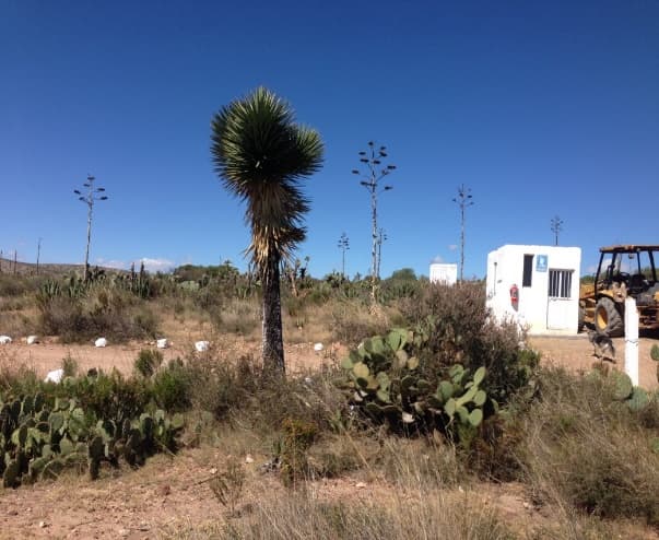 Visita de campo a sitio de proyecto